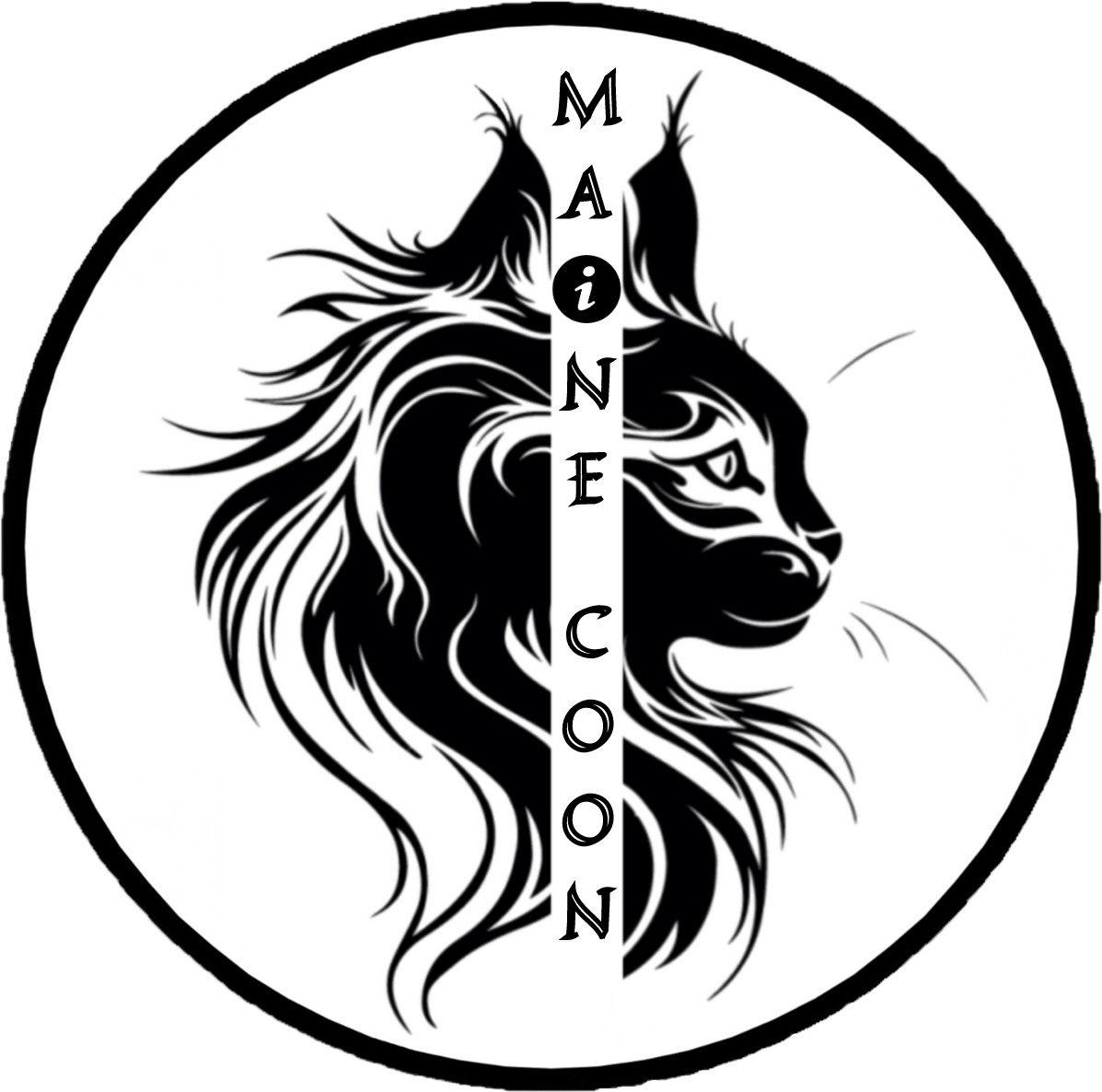 Maine Coon